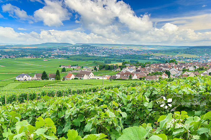 风景优美的香槟，法国兰斯蒙太尼的葡萄园图片素材