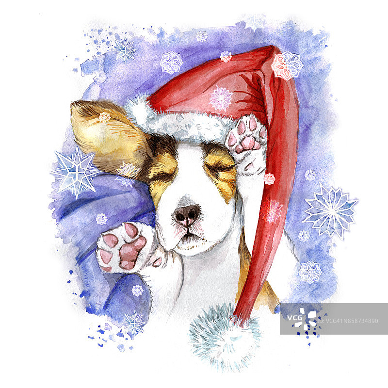 水彩画圣诞和新年，狗在圣诞老人的帽子，冬天的帽子，小狗睡觉，爪子，狗躺着，睡着，为设计的卡片或装饰，新年的印刷，以雪的fla背景图片素材