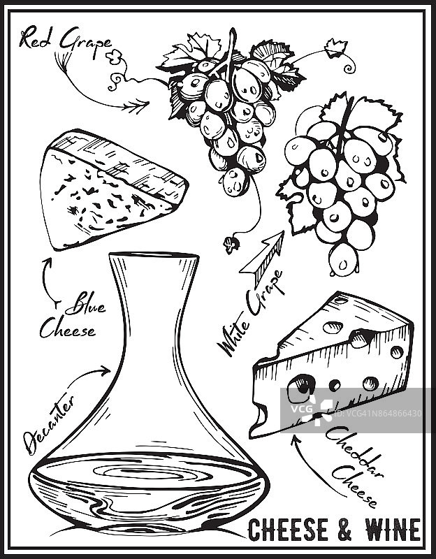 几组奶酪和不同类型的葡萄。向量孤立的插图。手绘的形象。葡萄酒和奶酪。图片素材