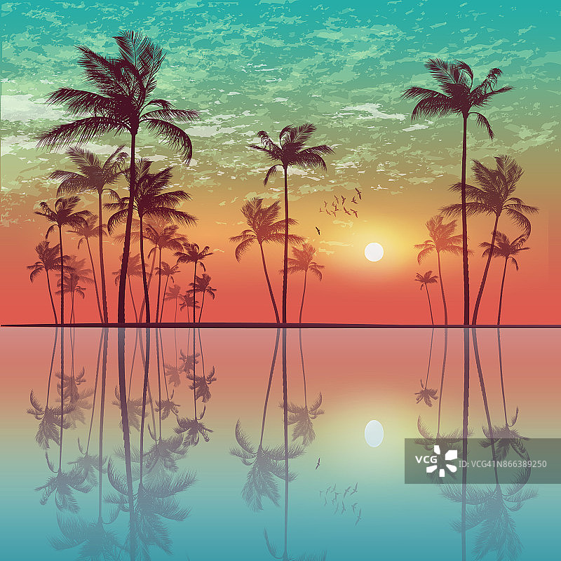 日落或日出时热带棕榈树的剪影，天空多云。高度详细和可编辑图片素材