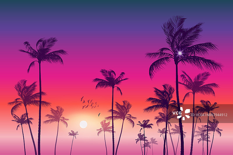日落或月光下的热带棕榈树，多云的天空。高度详细和可编辑图片素材