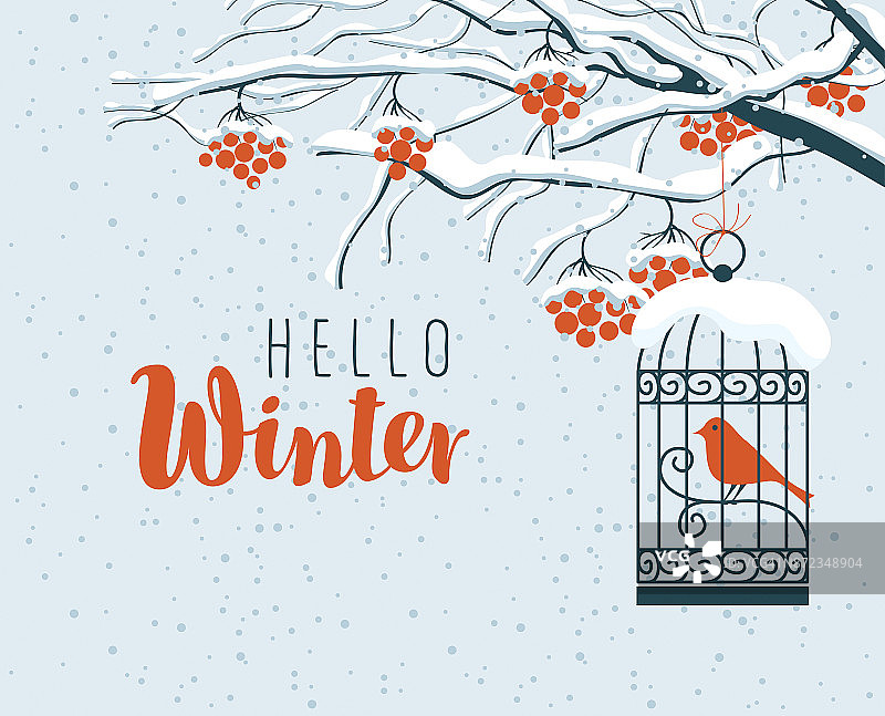 冬天的风景是白雪覆盖的花楸和鸟儿图片素材