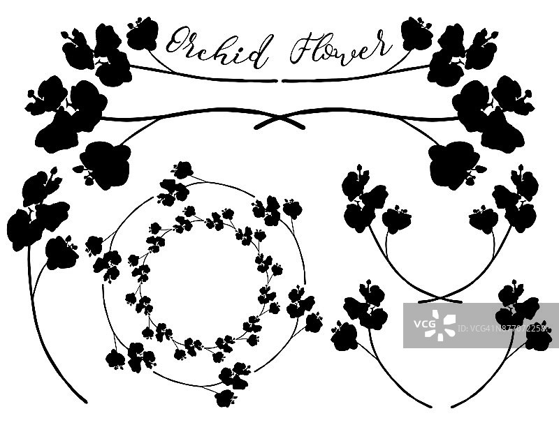 矢量兰花花形状。分规，框架和花环图片素材