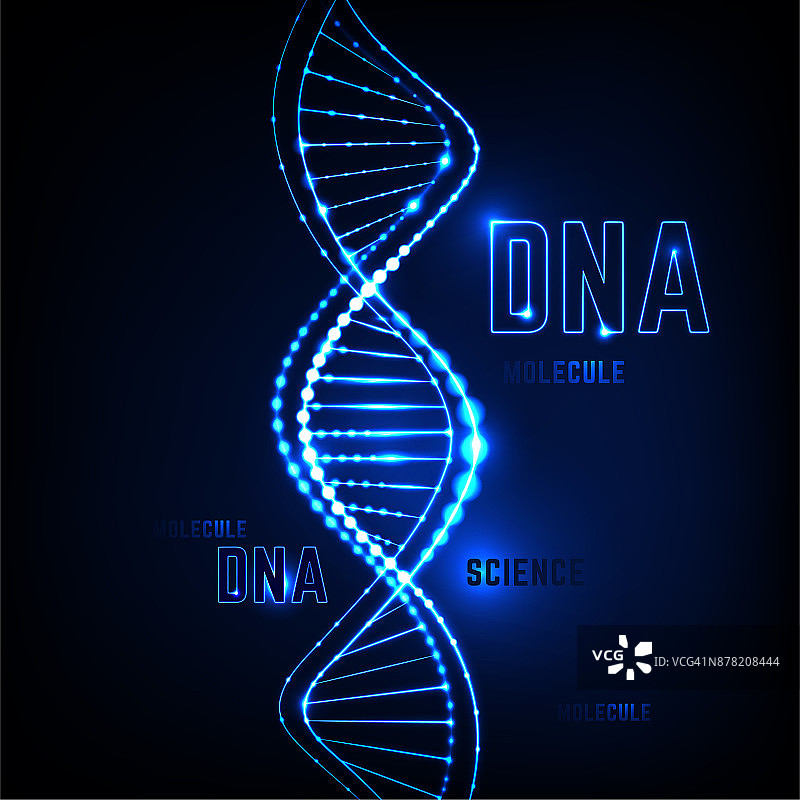 DNA分子的形象图片素材
