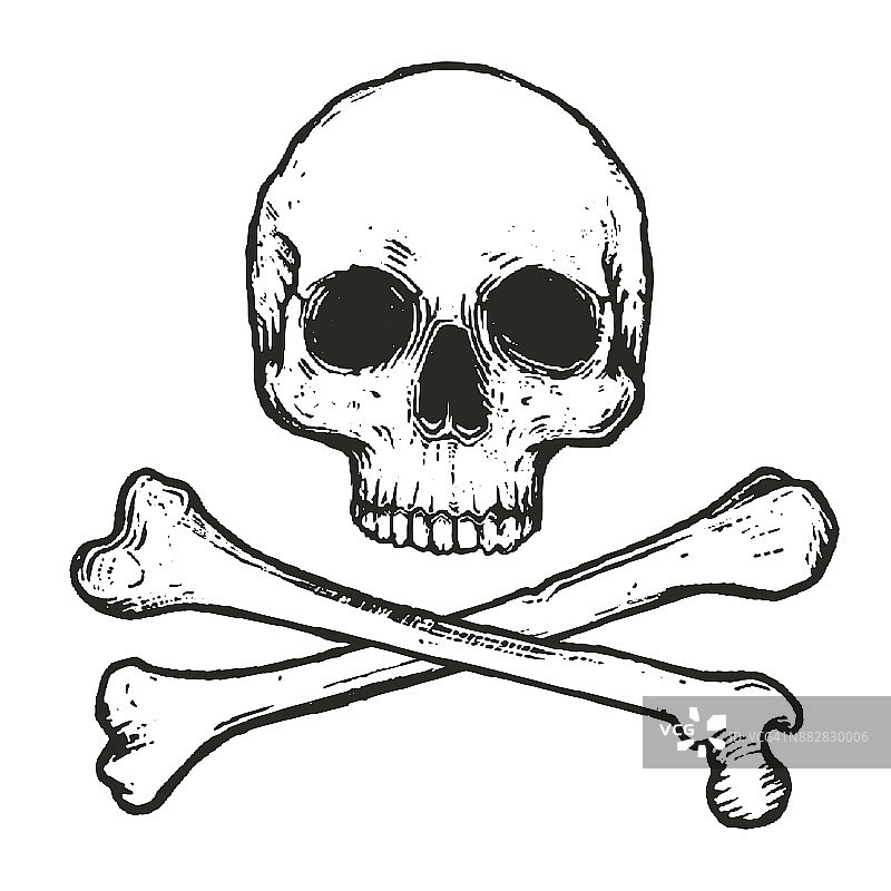 手绘骷髅和交叉骨头矢量插图孤立在白色背景图片素材