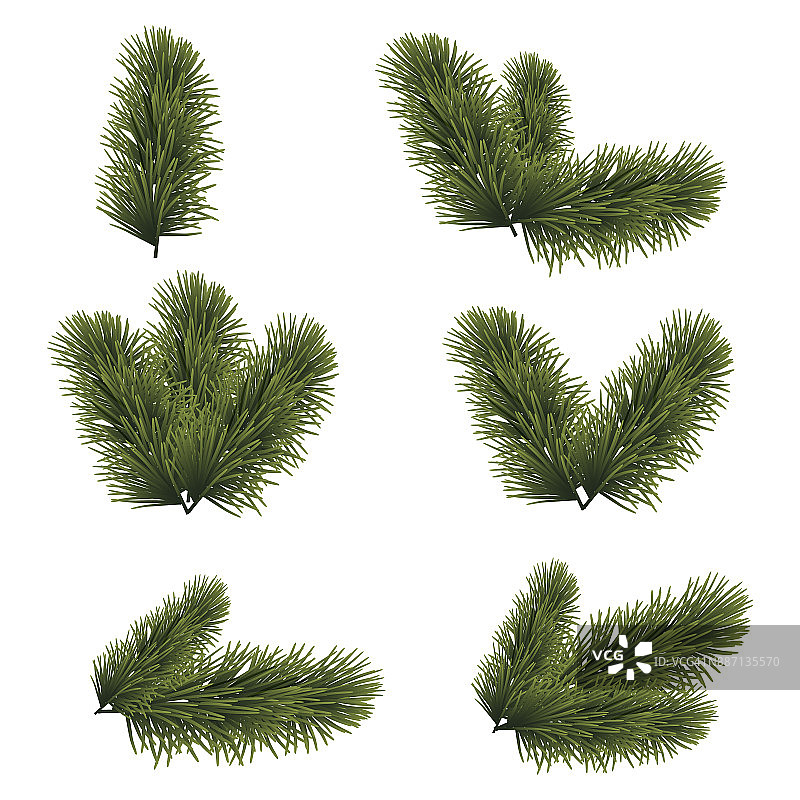绿色葱郁的云杉树枝为圣诞背景。矢量插图。图片素材
