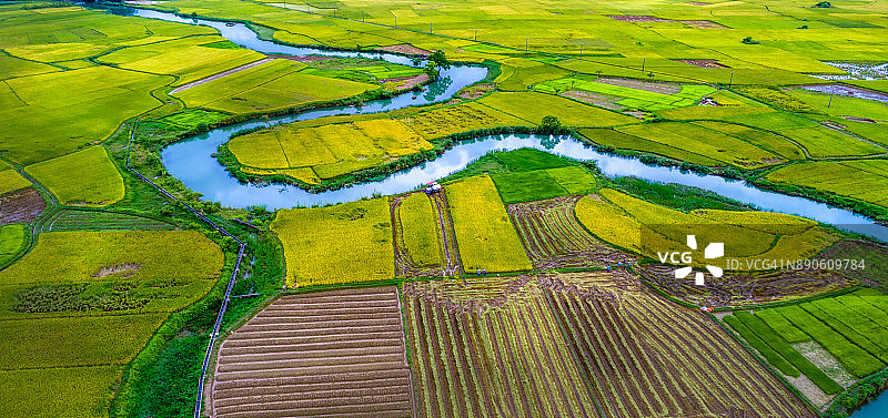 越南雨季，在越南朗森，Bac Son山谷的稻田图片素材