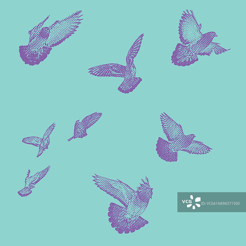 彩色雕刻插图一群鸟在飞行。图片素材