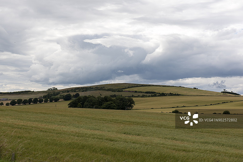 苏格兰安格斯蒙特罗斯附近的乡村景色图片素材