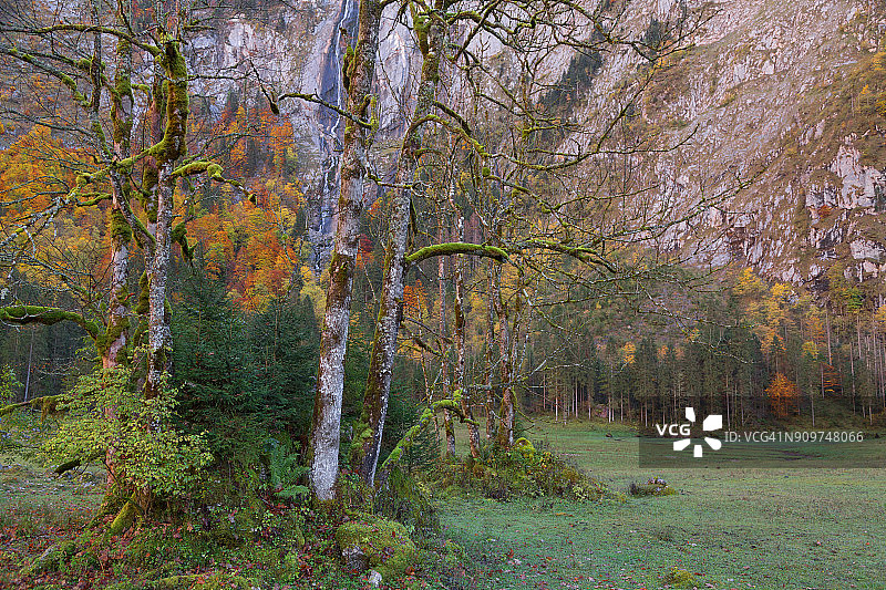 秋天田园风光与瀑布从悬崖上落下的背景图片素材