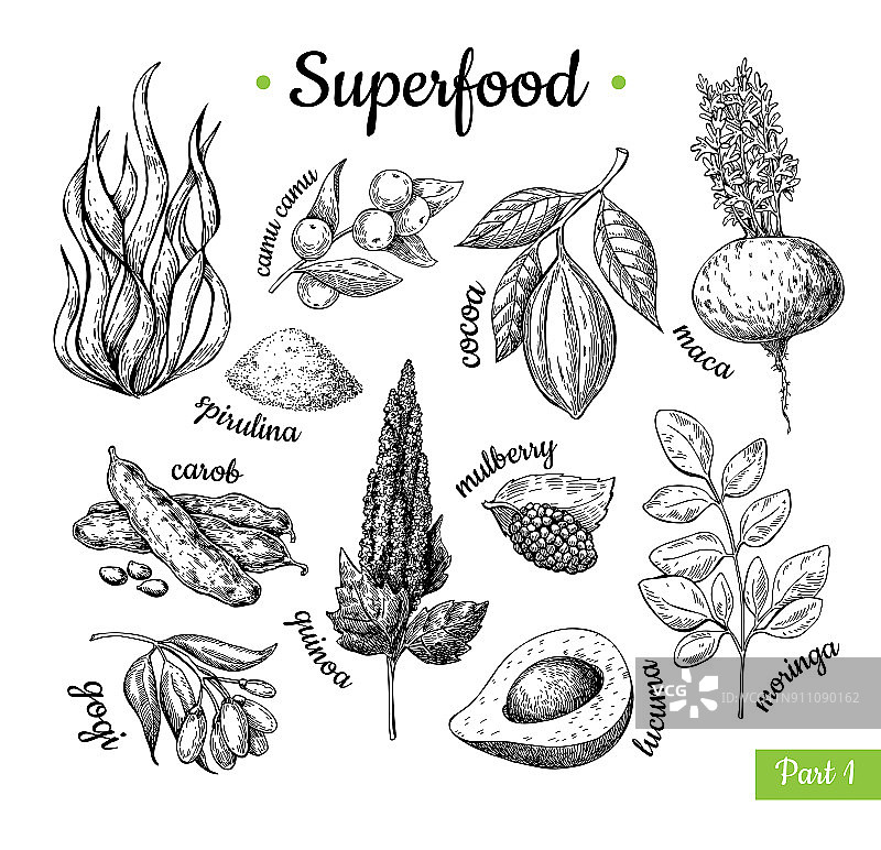 超级食物手绘矢量图。植物隔离犁式图片素材