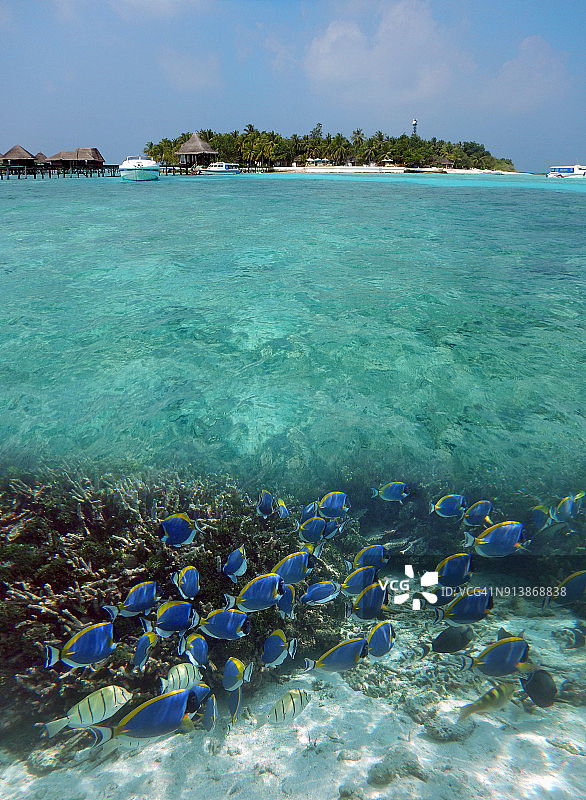 马尔代夫的水上和水下岛屿图片素材