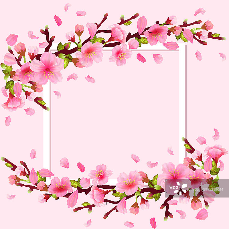 逼真的樱花日本樱花枝图片素材