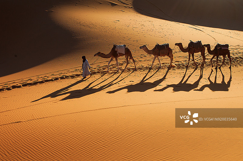 撒哈拉沙漠，骑骆驼的商队，享受和快乐的人们图片素材