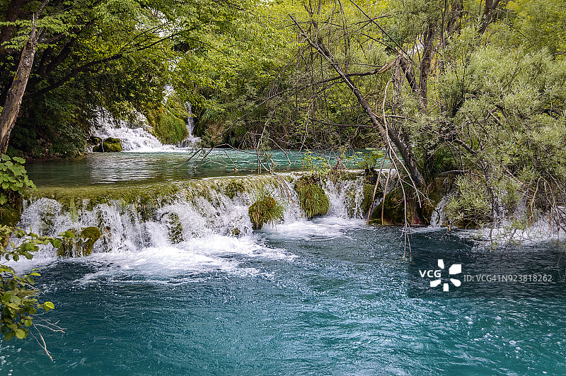 克罗地亚Karlovac县Lika-Senj县Plitvice湖国家公园的树干坠落图片素材