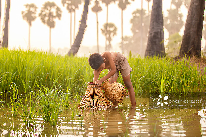 钓鱼男孩亚洲农民在稻田在早上的时间图片素材