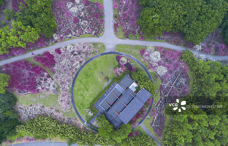 鸟瞰图梅花公园在春天的季节，中国上海图片素材
