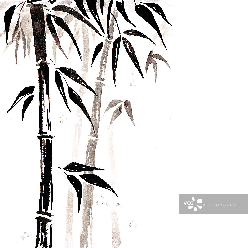 日式竹子。水彩手绘插画图片素材