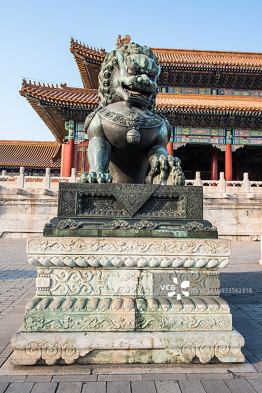 在一个阳光明媚的日子里，中国北京紫禁城太和殿门前的铜狮图片素材
