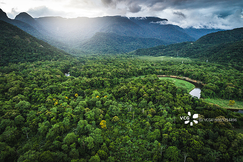 玛塔亚特兰提卡-巴西的大西洋森林图片素材