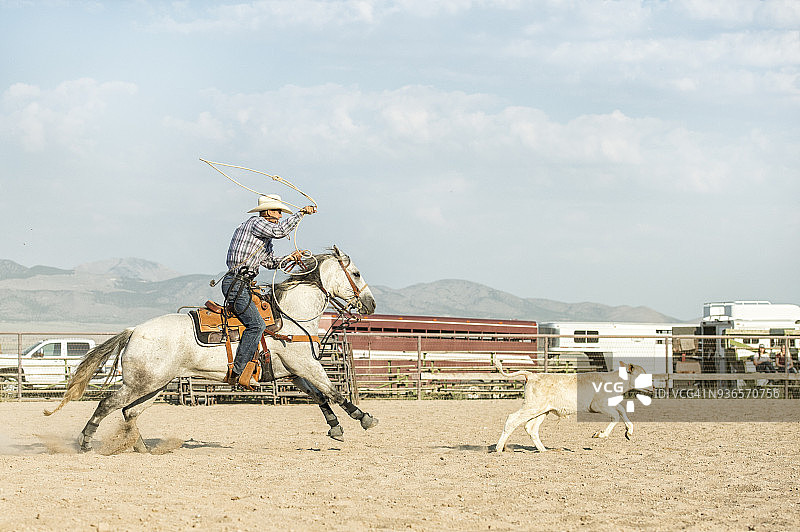 准备在马背上套索小牛的牛仔竞技比赛图片素材
