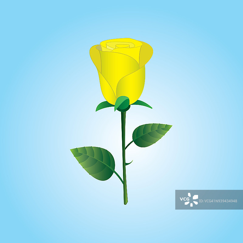 贺卡上的黄色玫瑰或白色背景的花图片素材