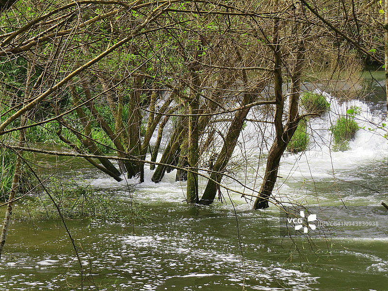 河水泛滥，在森林中形成瀑布图片素材