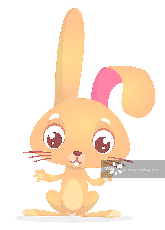 快乐的兔子卡通孤立在白色的背景图片素材