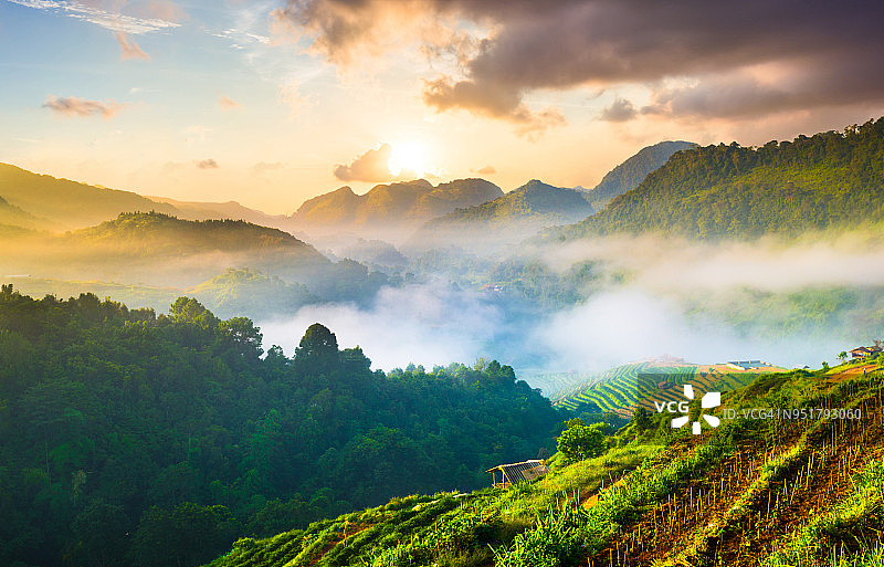 泰国北部的山景，日出和薄雾图片素材