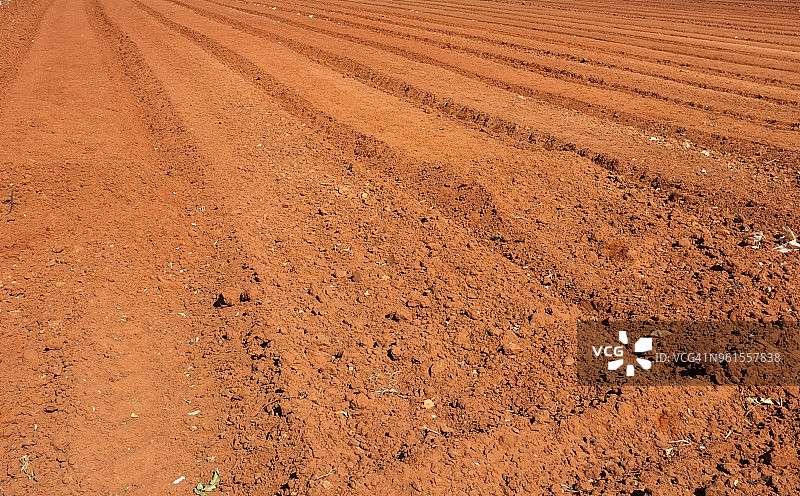 以色列中部的一块耕过的土地，沙仑平原上的哈姆拉土壤，准备播种图片素材