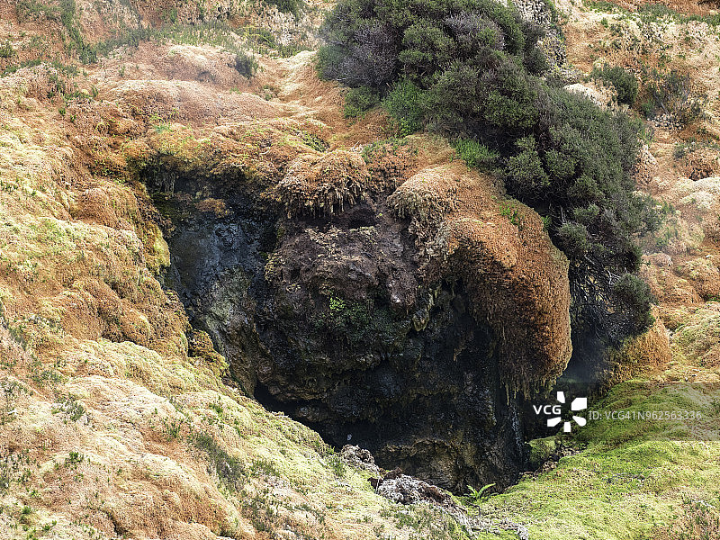火山喷气孔的岩石之间的孔释放气体，周围是苔藓和植物。葡萄牙亚速尔群岛的特塞拉岛。图片素材