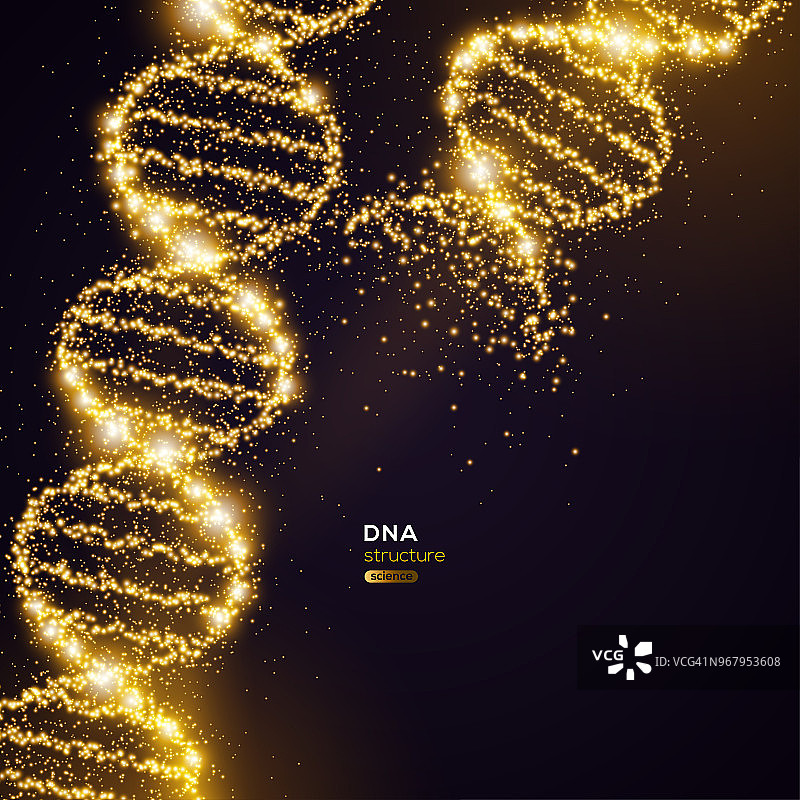 黑色背景上的金色DNA图片素材