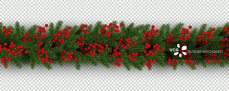 圣诞节和新年的边界现实的树枝和冬青浆果图片素材
