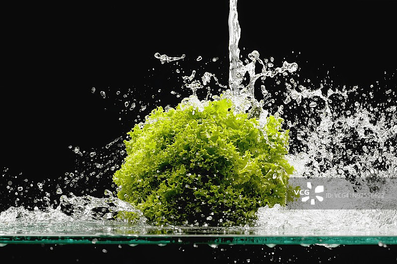 水浇在绿叶生菜上图片素材