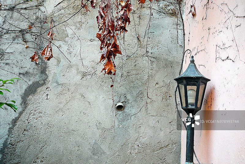 浪漫的花园墙，干树叶和古老的锻铁灯笼图片素材