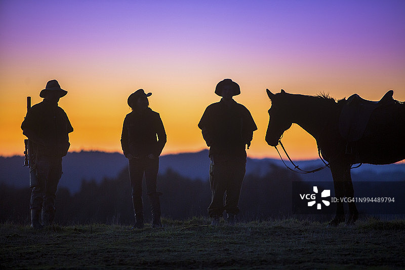 一群骑马的旅行者骑到山顶，在旺加努伊国家公园观看日落。图片素材