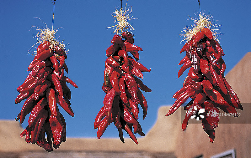 悬挂辣椒，新墨西哥州，美国图片素材