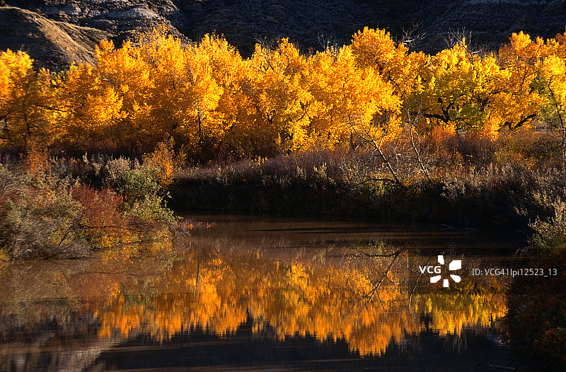 加拿大德拉姆海勒谷，水中倒映的秋树图片素材