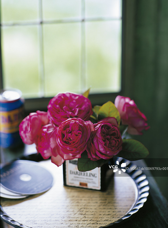 窗边茶盒内摆放玫瑰和烟树图片素材