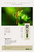 简约中国风夏至24节气传统节日海报图片素材