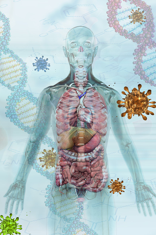 病毒与人体 免疫防御概念图片下载