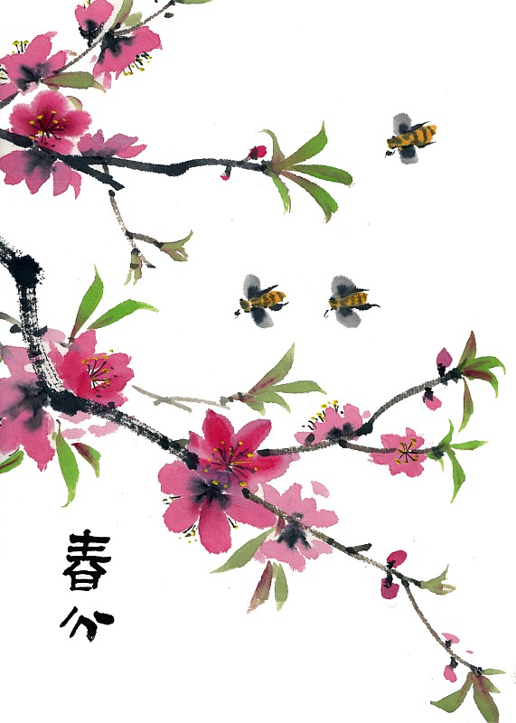 手绘水墨插画二十四节气之春分图片