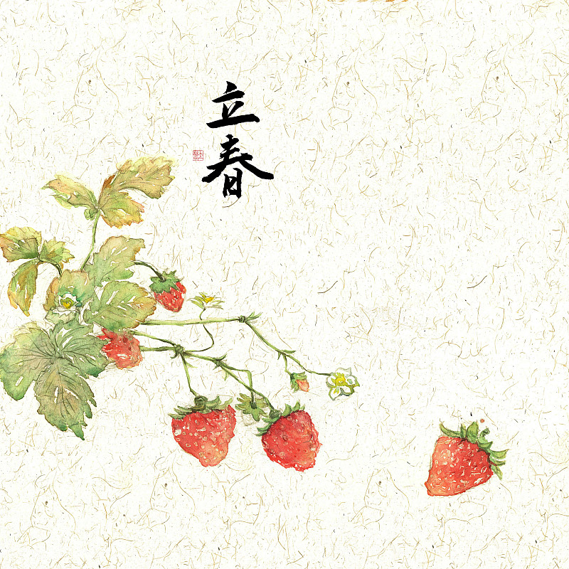 插画二十四节气果蔬系列之立春草莓图片