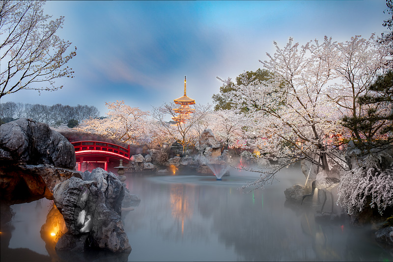 武汉东湖磨山樱园图片素材
