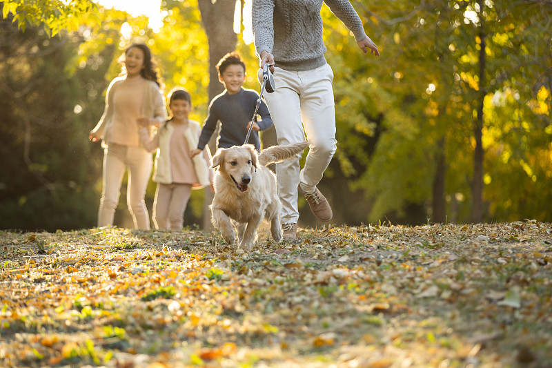 快乐的年轻家庭和狗在秋日的树林里图片素材