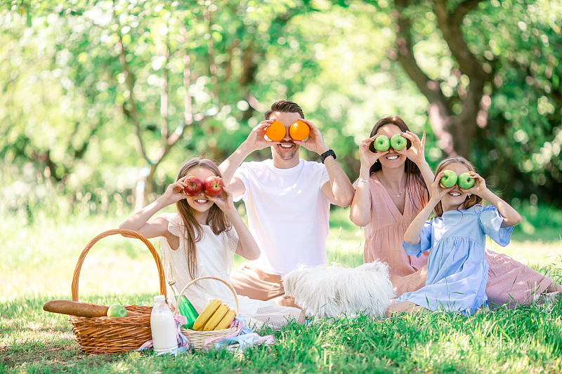 快乐的家庭在一个阳光明媚的日子里在公园野餐图片下载