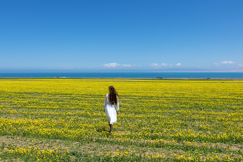 青海湖边油菜花田里奔跑的少女图片素材
