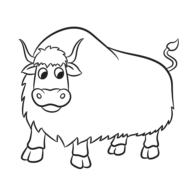 野牦牛简笔画图片