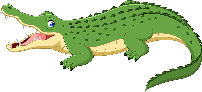 卡通鳄鱼孤立的白色背景图片