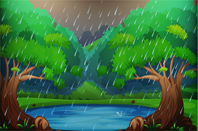 下雨森林插画图片